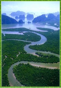 A river in the Andaman sea - Krabi hotel area.